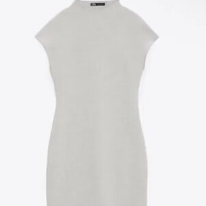 Zara Knit Stretch Dress